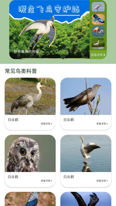鸟语星球app官方版下载