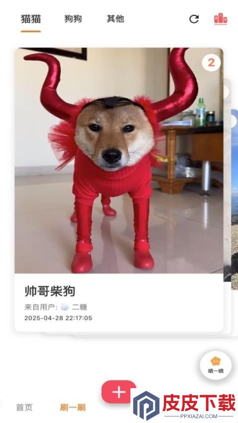 爪爪巴士app最新版下载