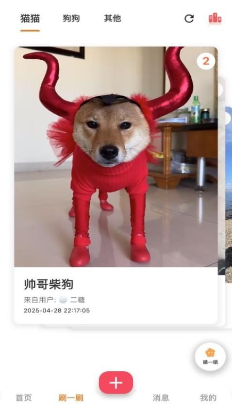 爪爪巴士app最新版下载