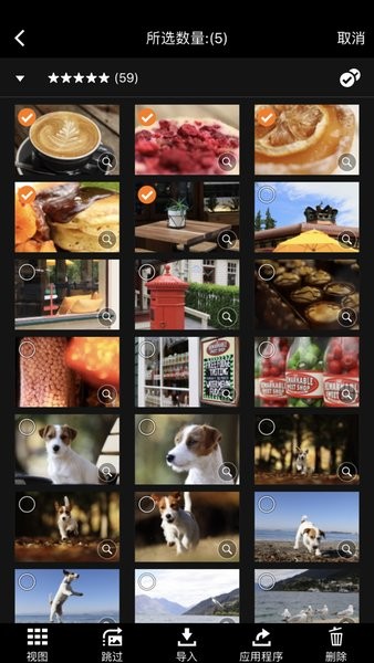Camera Connect app下载