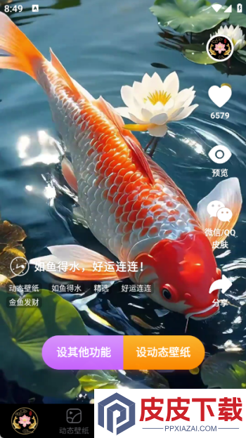 荷花锦鲤壁纸app最新版下载