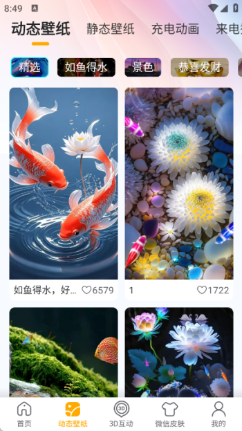 荷花锦鲤壁纸app最新版下载