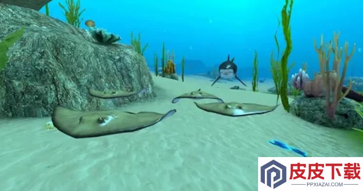 Shark Fish Simulator最新版游戏下载