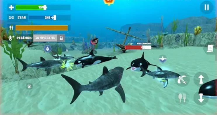 Shark Fish Simulator最新版游戏下载