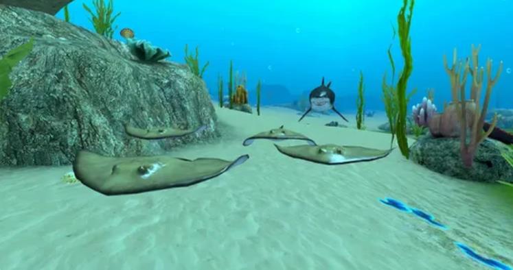 Shark Fish Simulator最新版游戏下载