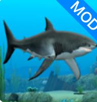 Shark Fish Simulator最新版