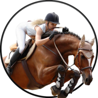 Horse Racing and Jumping Simulator 2018官方版
