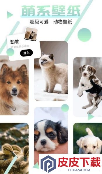 神图订制app安卓版下载