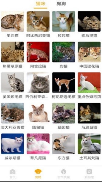 韶光相机app