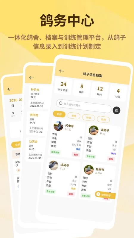 神奇的鸽子官方版