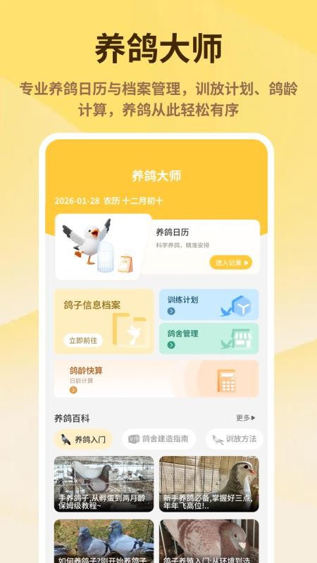 神奇的鸽子官方版