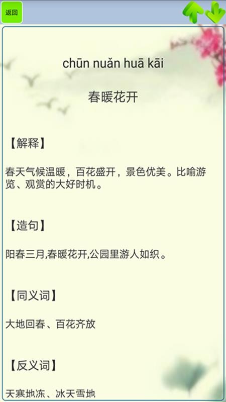 小学生成语app