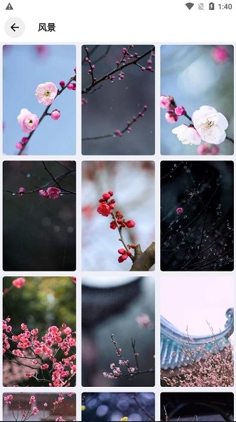 简壁纸app