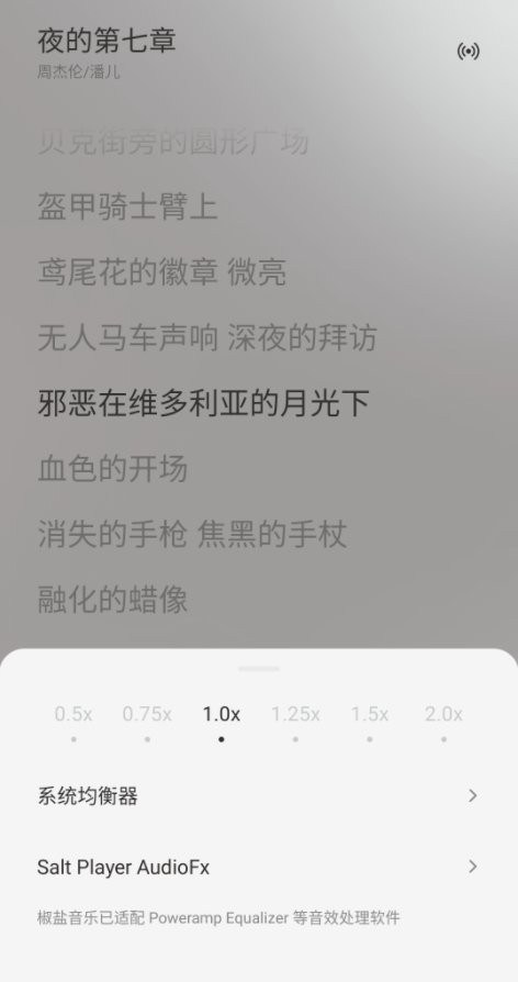 Salt Player软件