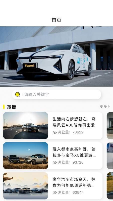 Report软件