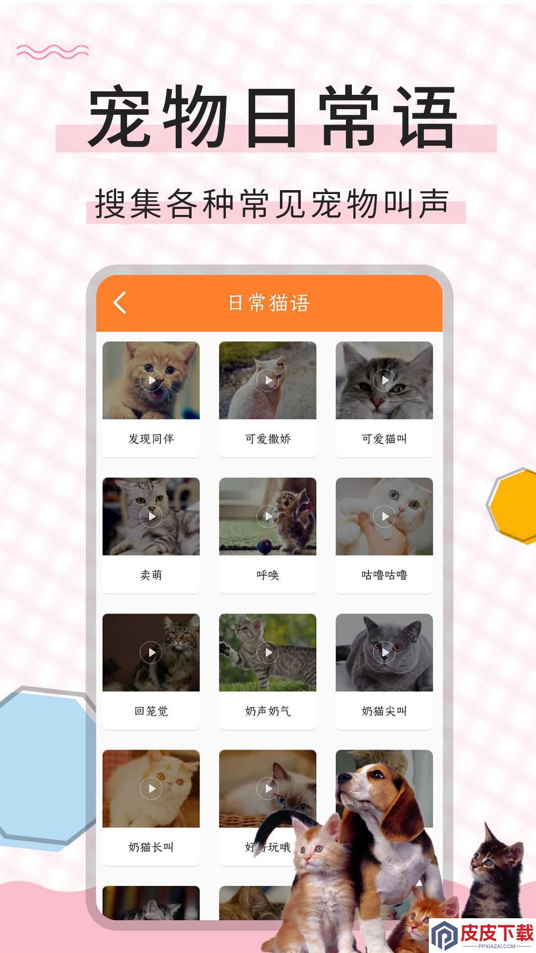 猫语翻译宝app手机版下载