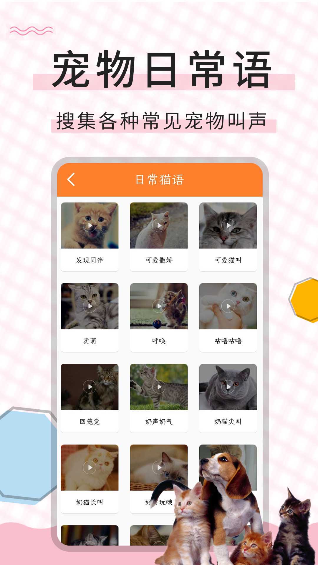 猫语翻译宝app