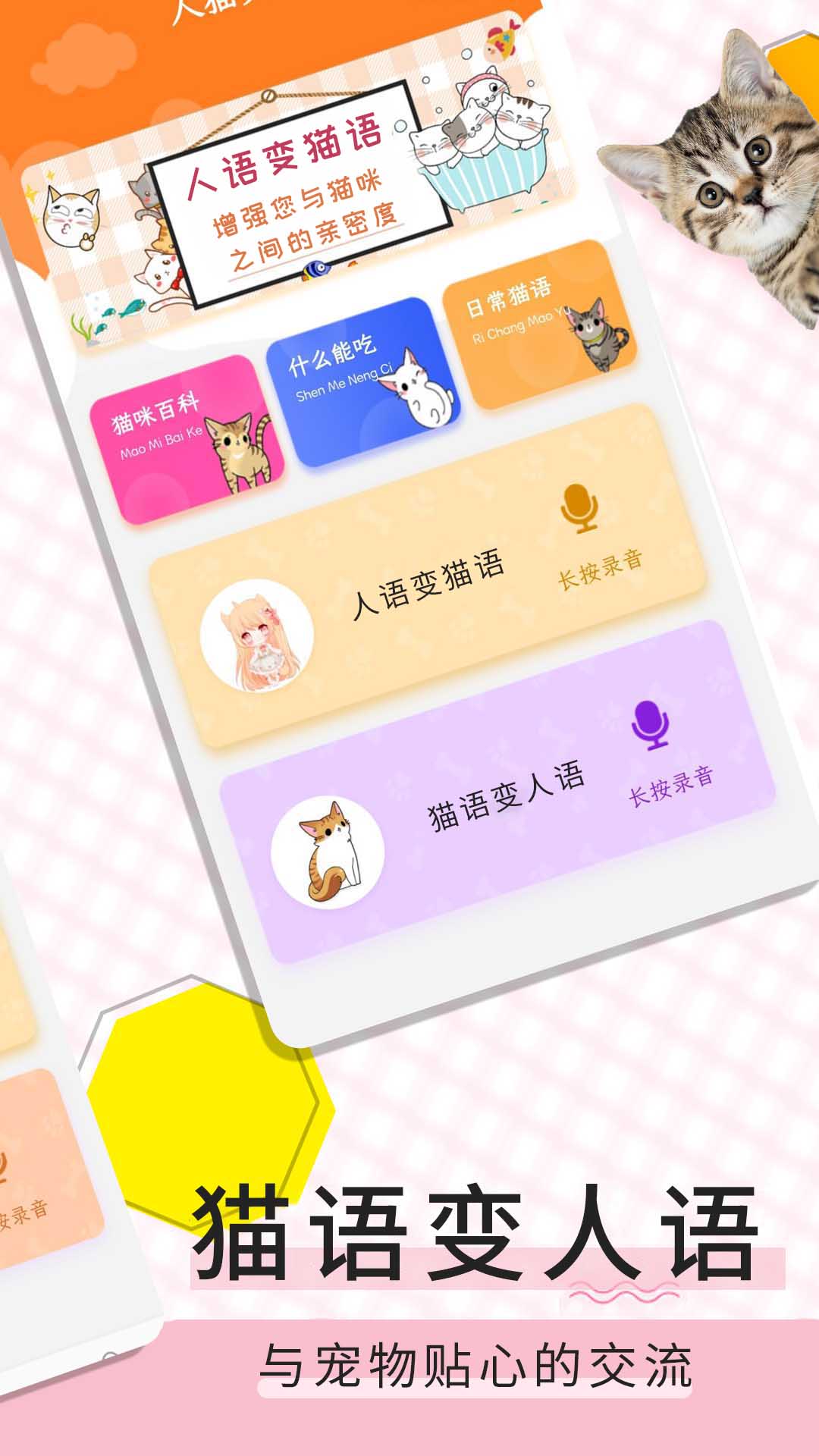 猫语翻译宝app