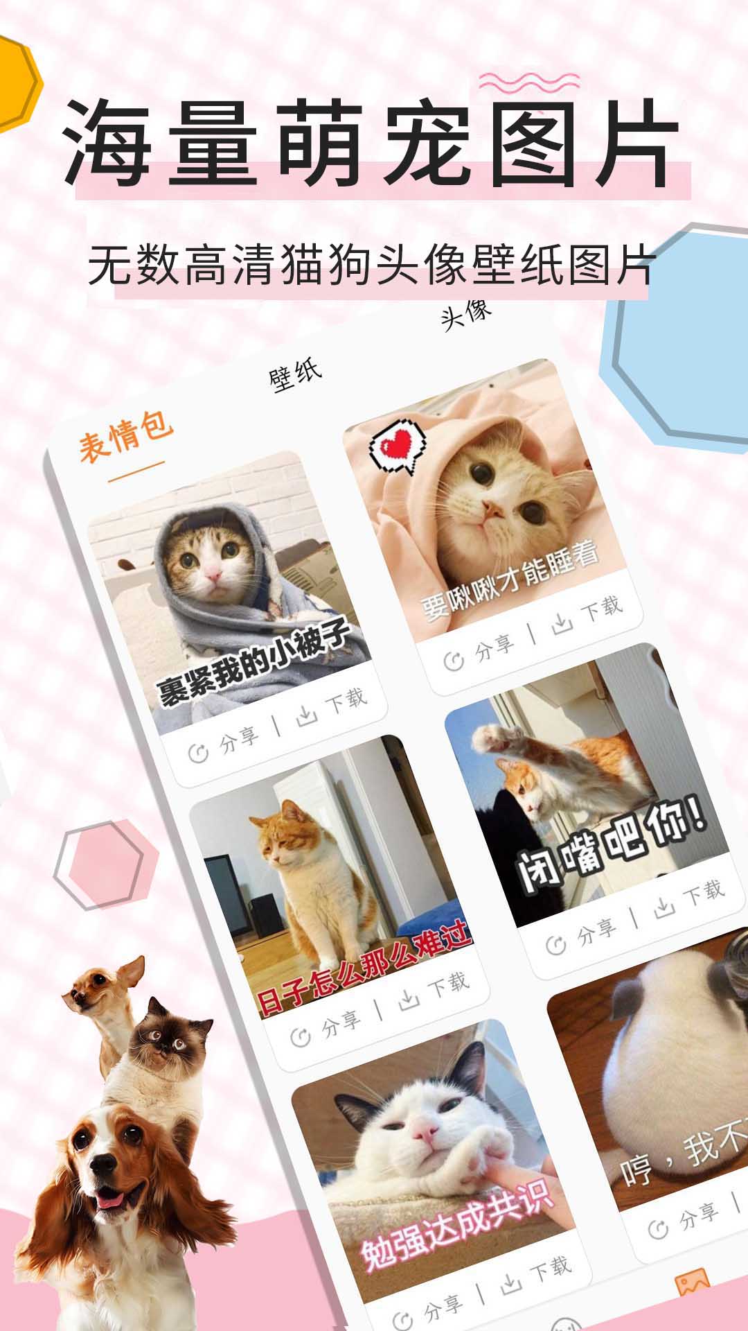猫语翻译宝app