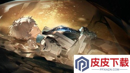 战双帕弥什周年庆自选s