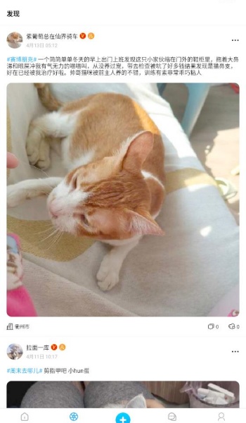 猫匿app