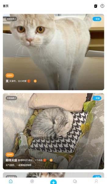 猫匿app