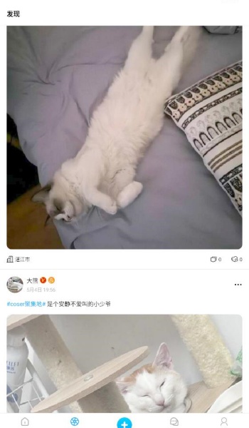 猫匿app