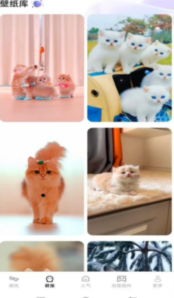 元气多多壁纸app