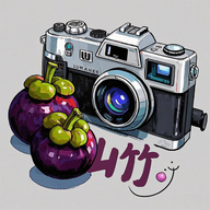 山竹相机app