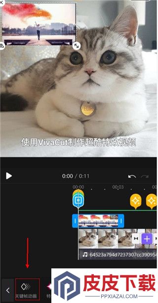 VivaCut软件免费版下载